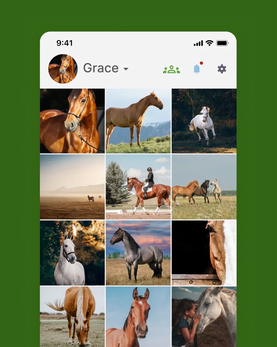 Equitask gallery detail with a favourite photo selected for the login background