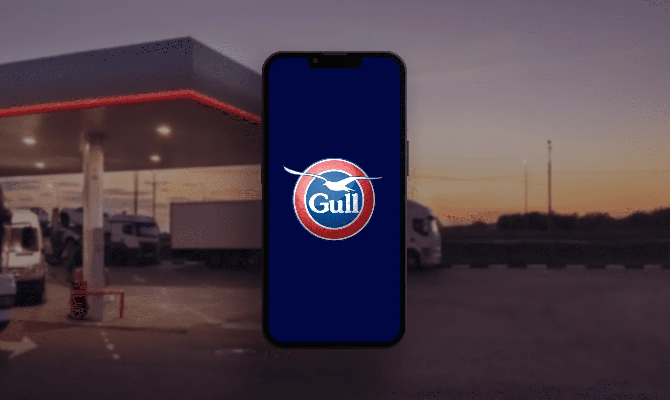 Gull, Energy