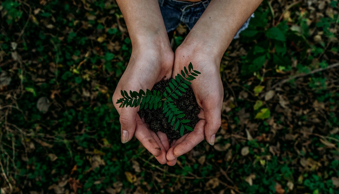 noah-buscher-x8ZStukS2PM-unsplash photo of sustainability